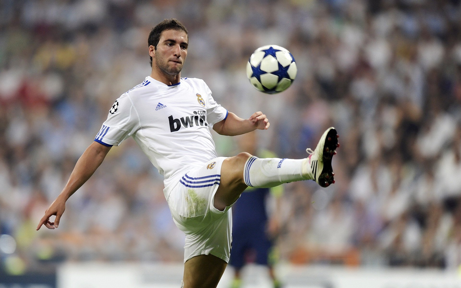 史上最大“黑马崛起”：逆境中夺冠的奇迹，黑马逆袭的例子